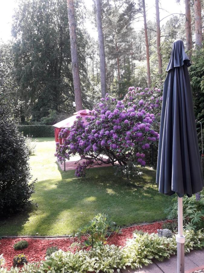 Ferienhaus Am Langen See Heidesee Экстерьер фото